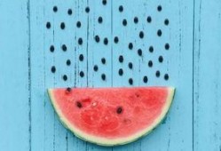 吃冰冷甜蜜瓜的视频,夏日消暑新宠，甜蜜滋味尽享清凉