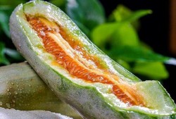 吃瓜感觉好兴奋,揭秘吃瓜群众的狂欢盛宴