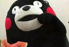 小牛吃瓜表情包,趣味横生的网络文化现象