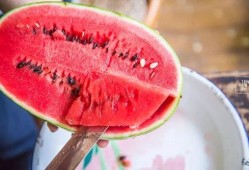 吃瓜群众草莓干,吃瓜群众的甜蜜诱惑