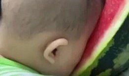 吃瓜感觉好兴奋,揭秘吃瓜群众的狂欢盛宴