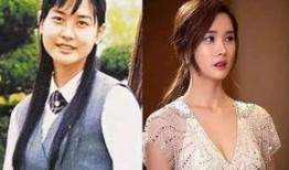 吃瓜关于韩国整容