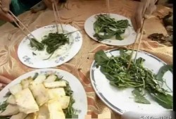 吃瓜有多内卷,从娱乐到生活的全面卷入