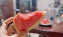 吃瓜协商,一场舌尖上的和谐对话