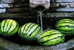 吃瓜换瓜,一场别开生面的趣味互动盛宴