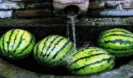 吃瓜换瓜,一场别开生面的趣味互动盛宴