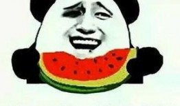 吃瓜吃到自己头上是什么瓜,吃瓜吃到自己头上的尴尬瓜事