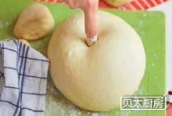 吃瓜小熊金桃,揭秘瓜界萌宠的甜蜜生活