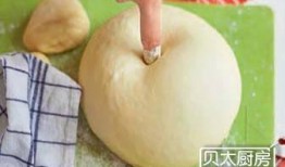 吃瓜小熊金桃,揭秘瓜界萌宠的甜蜜生活