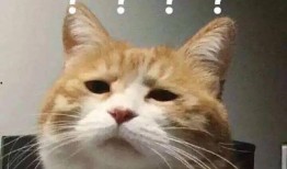 外网吃国内的瓜,揭秘国内热门事件背后的故事