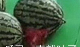 早孕吃瓜就吐,早孕吃瓜吐现象解析及应对策略