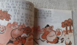 语文阅读吃瓜主题,一场关于吃瓜的趣味阅读之旅