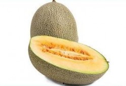 吃蜜瓜会上火吗,揭秘吃蜜瓜是否会引发上火