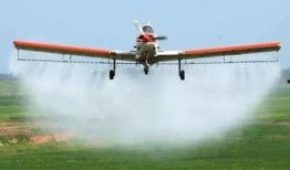 飞机上吃大瓜,飞机上品尝大瓜的奇妙体验