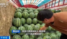 炫迈吃瓜吃到自己,一场奇妙的味蕾冒险