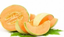 九九吃哈密瓜,甜蜜滋味尽在口中