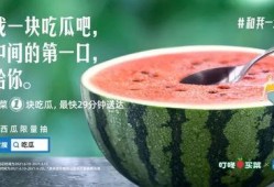 吃瓜煮蛋话桑麻,探寻民间生活的趣味与智慧