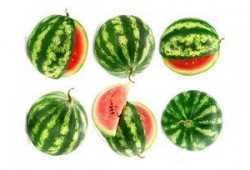 吃瓜吃到快到闪电,闪电来临前的疯狂瓜界盛宴