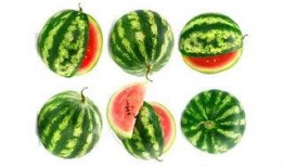 吃瓜吃到快到闪电,闪电来临前的疯狂瓜界盛宴