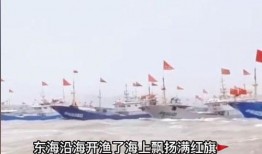 台岛吃瓜渔船,揭秘背后真相与争议