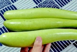 吃瓜9号线,带你领略都市生活百态