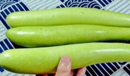 吃瓜9号线,带你领略都市生活百态