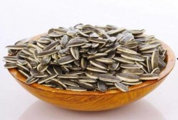 小凳子怎么吃瓜,一场别开生面的吃瓜盛宴