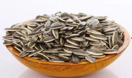 小凳子怎么吃瓜,一场别开生面的吃瓜盛宴