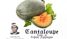 吃瓜人物推荐,跟随吃瓜群众探寻明星幕后故事