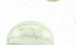 吃瓜是什么层面,网络时代下的社会观察与心理解读