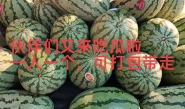 吃瓜金主,网络红人背后的神秘力量