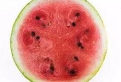 科学吃瓜图片,营养与健康的完美结合