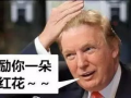 英国媒体批评吃瓜群众