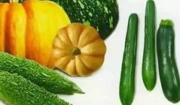 疯癫吃瓜,揭秘娱乐圈的疯狂幕后故事