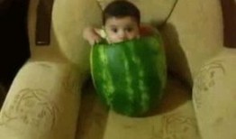 吃瓜n.,网络时代的围观文化现象