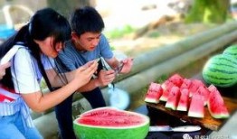 梦见自己去地里吃瓜,揭秘梦中地里吃瓜的神秘寓意