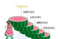 吃瓜最多的省,揭秘吃瓜最多的省份之谜”
