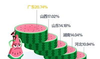吃瓜最多的省,揭秘吃瓜最多的省份之谜”