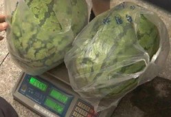 村里来的吃瓜,揭秘乡村生活百态