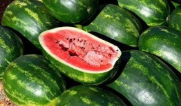 吃瓜图片100张,吃瓜群众的欢乐时光