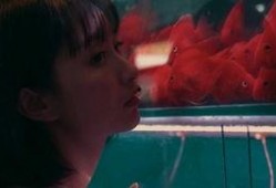 吃瓜戏女孩,网络时代的娱乐观察者