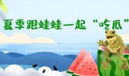 路边吃瓜蛙