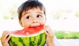 吃瓜宝,网络红人的崛起与影响力