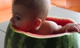 吃瓜打孩子照片图片,一张照片引发的思考