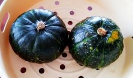 石头吃贝贝瓜,石头与贝贝瓜的奇妙邂逅