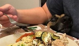 sei吃瓜,揭秘娱乐圈背后的那些事儿