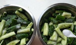 吃脆瓜有何用处,健康生活新选择，吃出清新每一天