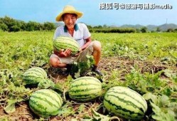 德兴上海路吃瓜