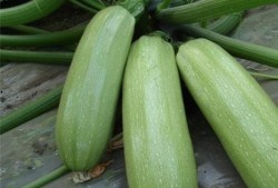 最近好多瓜吃,近期热点事件大盘点