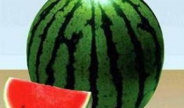 西瓜不瓜吃不吃西瓜